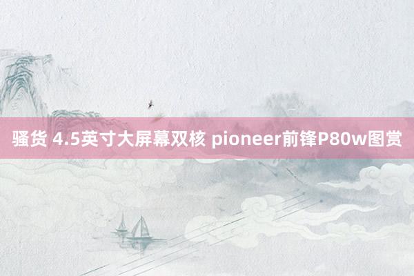 骚货 4.5英寸大屏幕双核 pioneer前锋P80w图赏