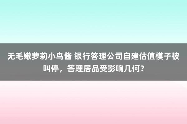 无毛嫩萝莉小鸟酱 银行答理公司自建估值模子被叫停，答理居品受影响几何？